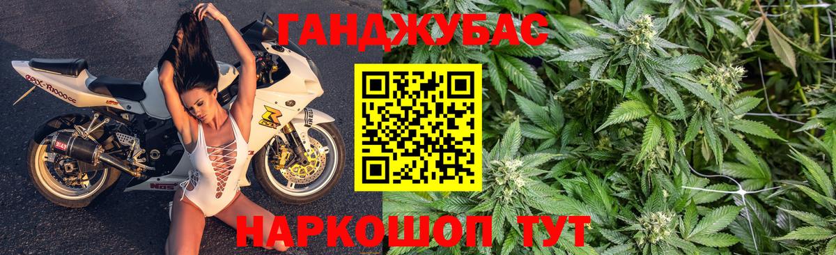 Конопля планчик Алексеевка
